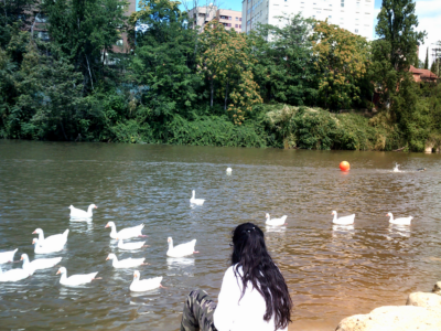 Joven de espaldas en el río frente a varias aves